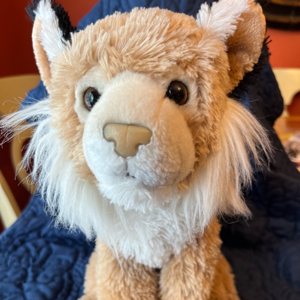 Douglas the cuddle toy